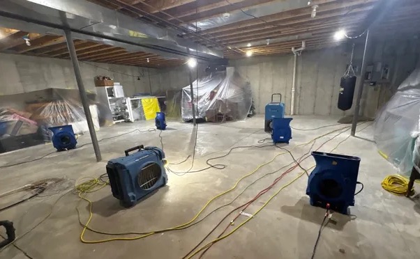 Basement Mold Cleanup in Germantown, MD