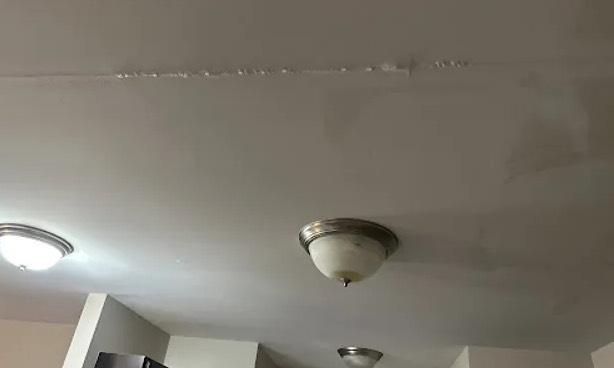 Ceiling Mold Removal in Germantown, MD