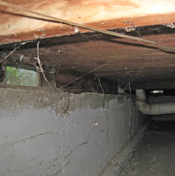 Crawl Space Water Damage Cleanup in Germantown, MD