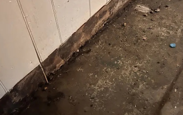 Sewage Backup Cleanup in Germantown, MD